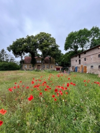 Begleitung in Veränderungsprozessen